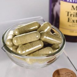 Swanson 蒺藜皂甙萃取 250mg 120顆  Mega Tribulus Extract 120 capsules 